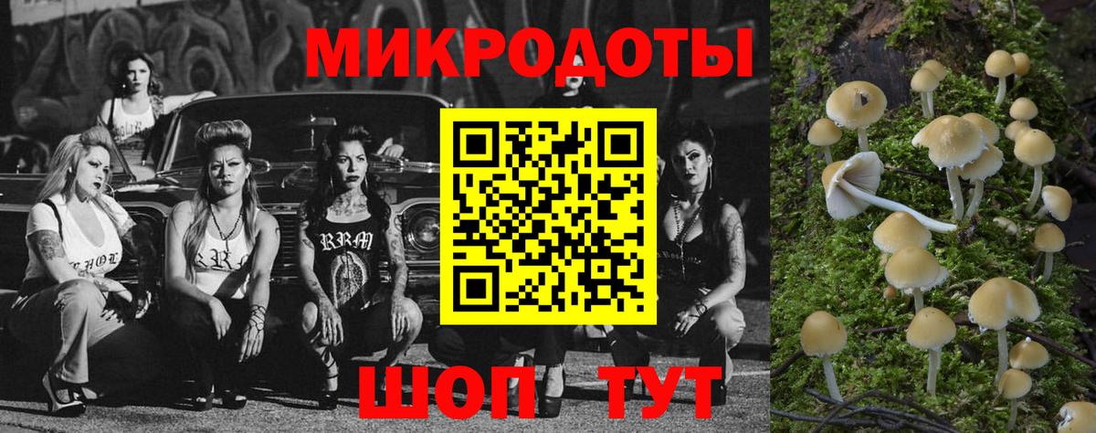 Галлюциногенные грибы Cubensis  Вход с VPN  Ессентуки 
