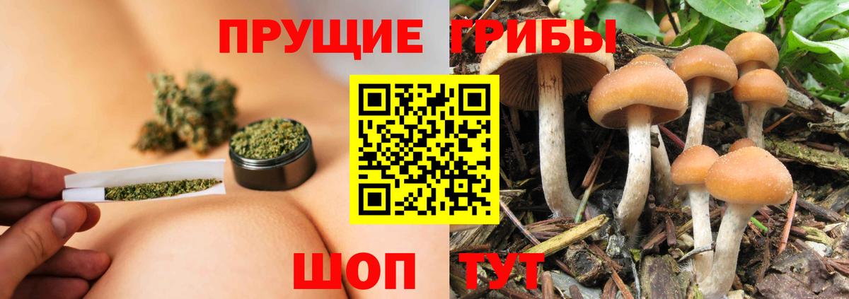 Галлюциногенные грибы MAGIC MUSHROOMS Ессентуки